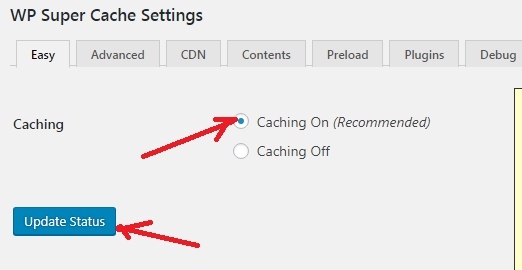 WP Super Cache Plugin Settings