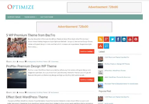 Optimize WordPress theme