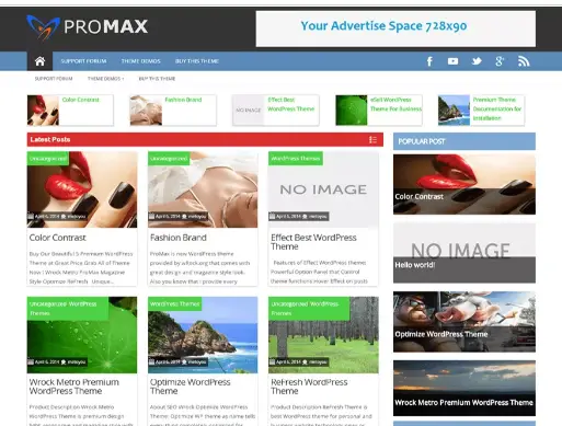 ProMax Adsense WordPress Theme