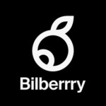 Bilberrry digital agency