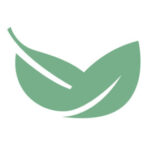 bay leaf digital agency
