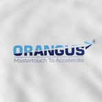 Orangus Digital Marketing Agency