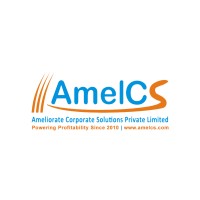 AmelCS  - SEO Services in Chandigarh