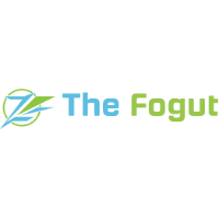 Fogut Technologies - Web Design, SEO Company India