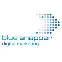 Blue Snapper Digital Marketing