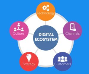 Create your Digital Ecosystem