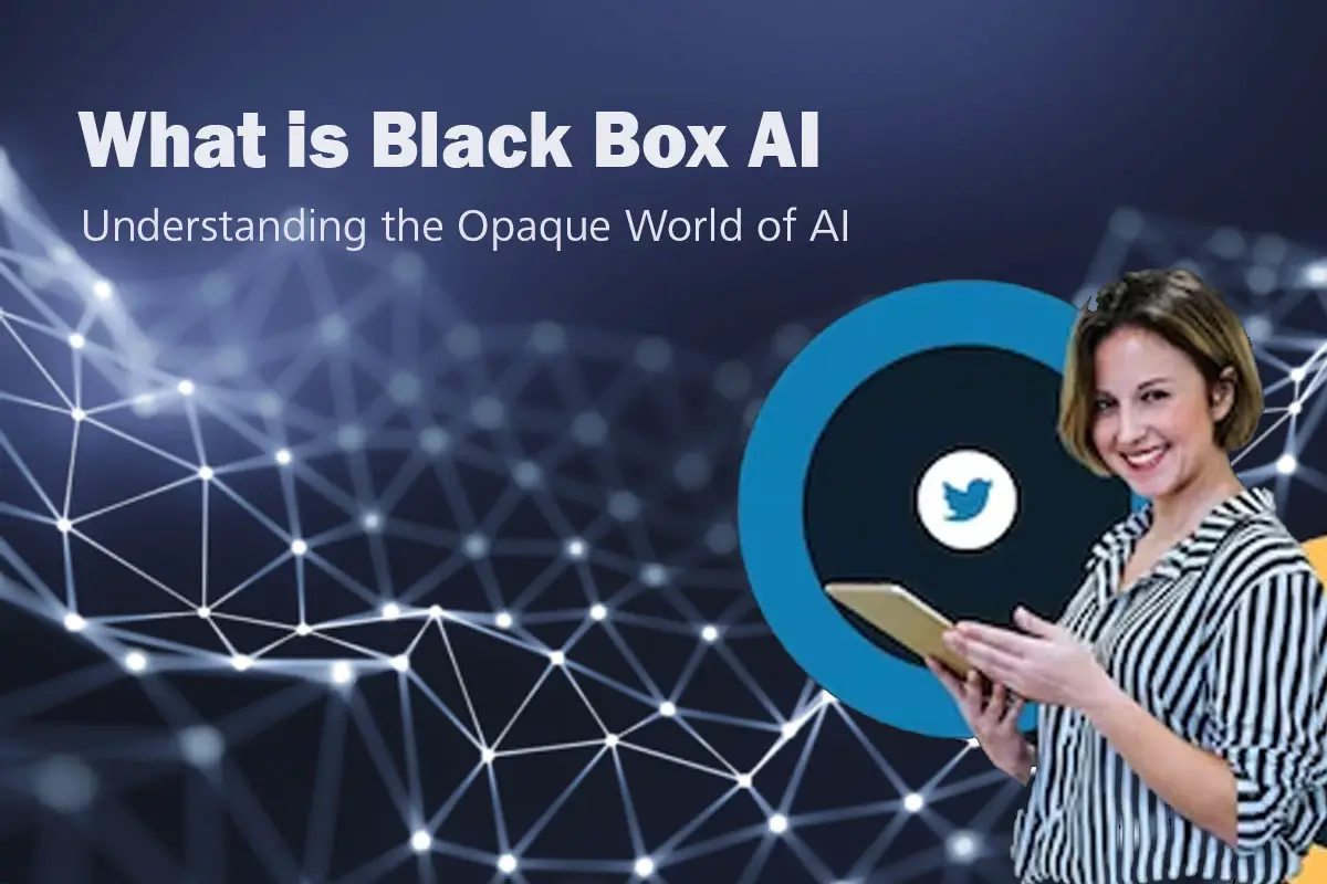 What is Black Box AI