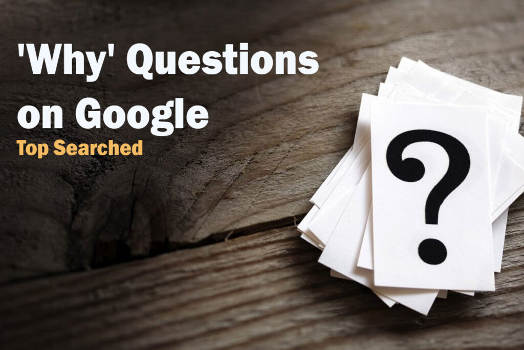 Top Searched 'Why' Questions on Google: Unveiling Curious Inquiries and