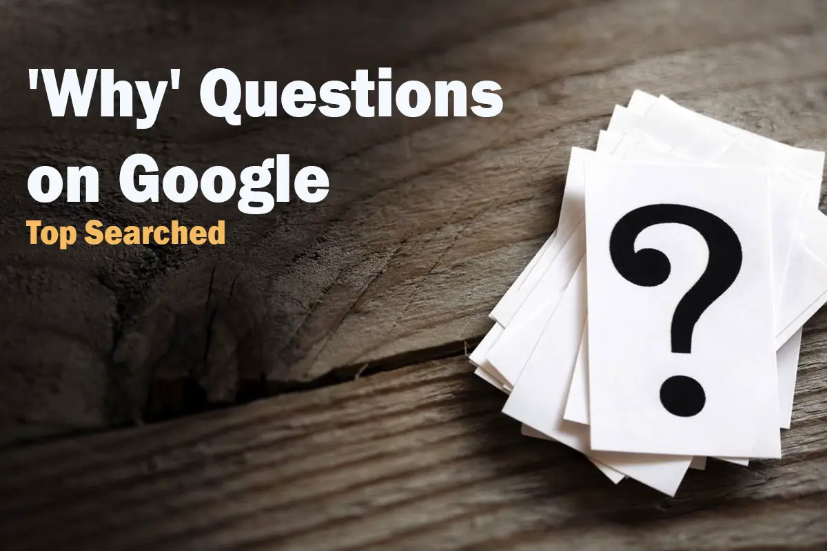 'Why' Questions on Google