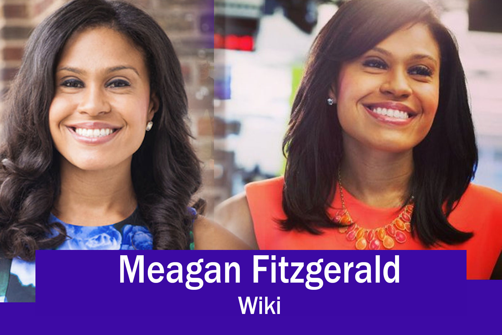 Meagan Fitzgerald Wiki