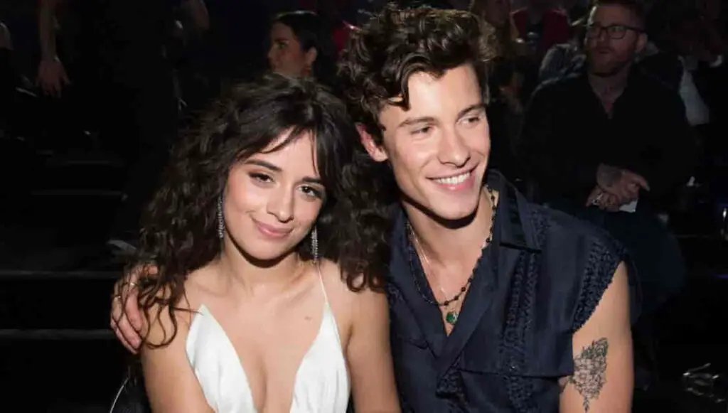 Shawn Mendes and Camila Cabello Breakup Unveiled: Reddit Speculations ...