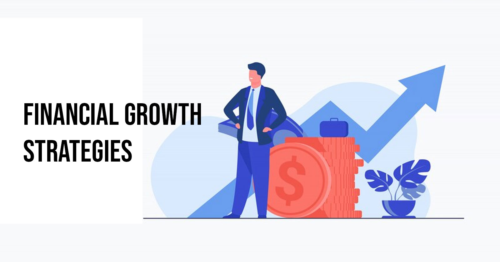 Financial Growth Strategies
