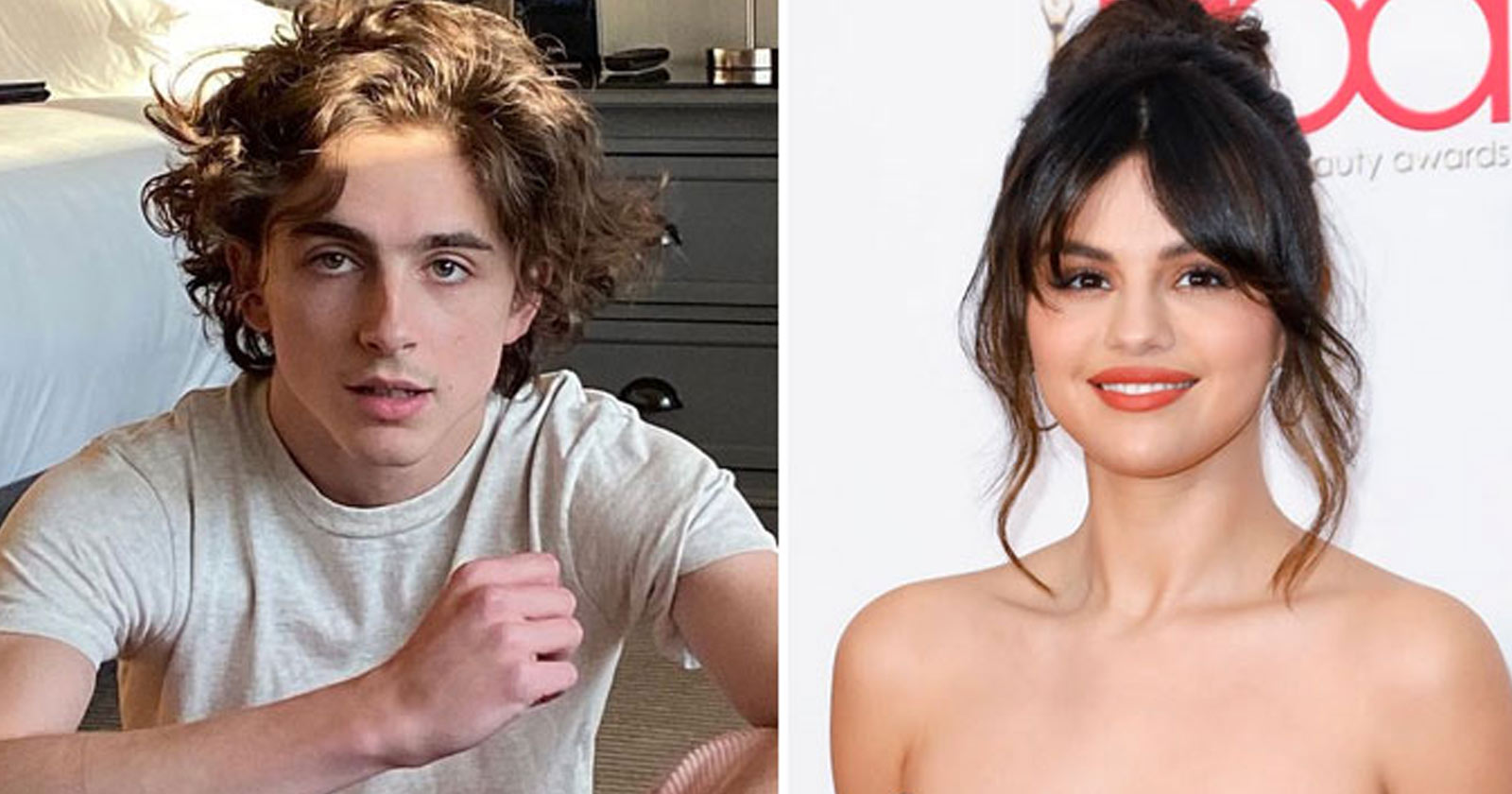 Selena Gomez and Timothée Chalamet Relationship