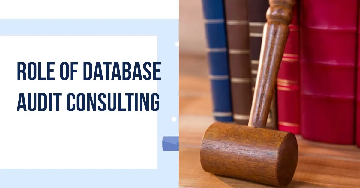 Role of Database Audit Consulting