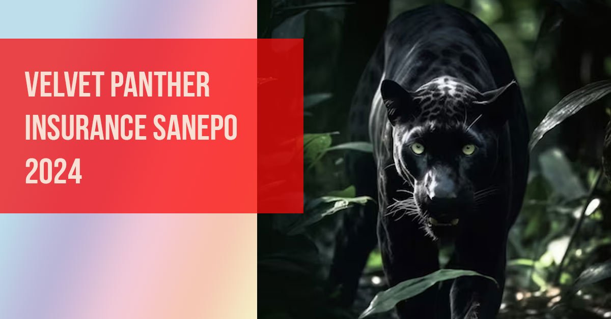 Velvet Panther Insurance Sanepo 2026 Aitechtonic Velvet Panther Insurance Sanepo 2026 Aitechtonic