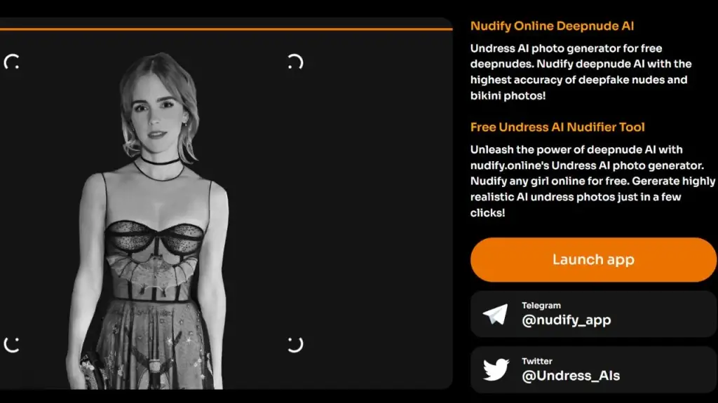 Nudify Online - AI clothes remover tool (Image from offcial website)