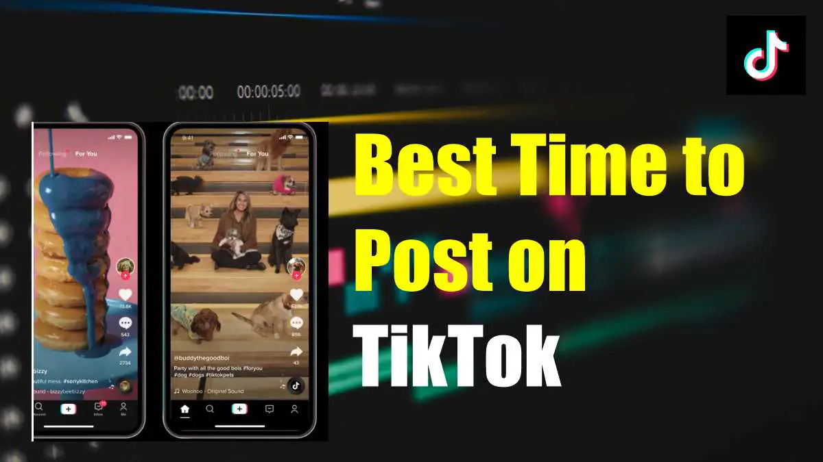 Best Time to Post Reels on TikTok