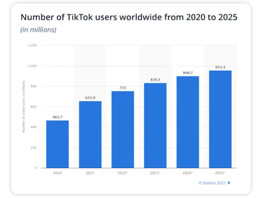 TikTok User Globally