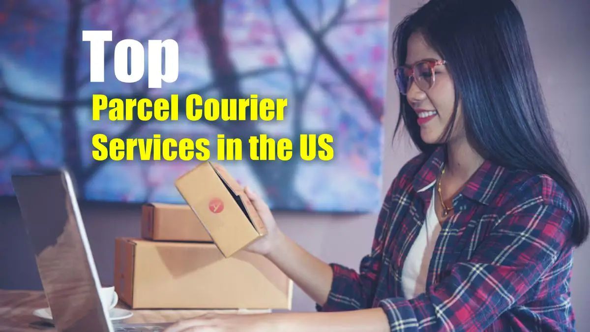 Parcel Courier Services in the US