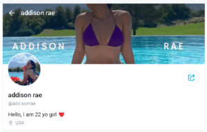 Top TikTokers with OnlyFans Accounts in 2026 - Aitechtonic