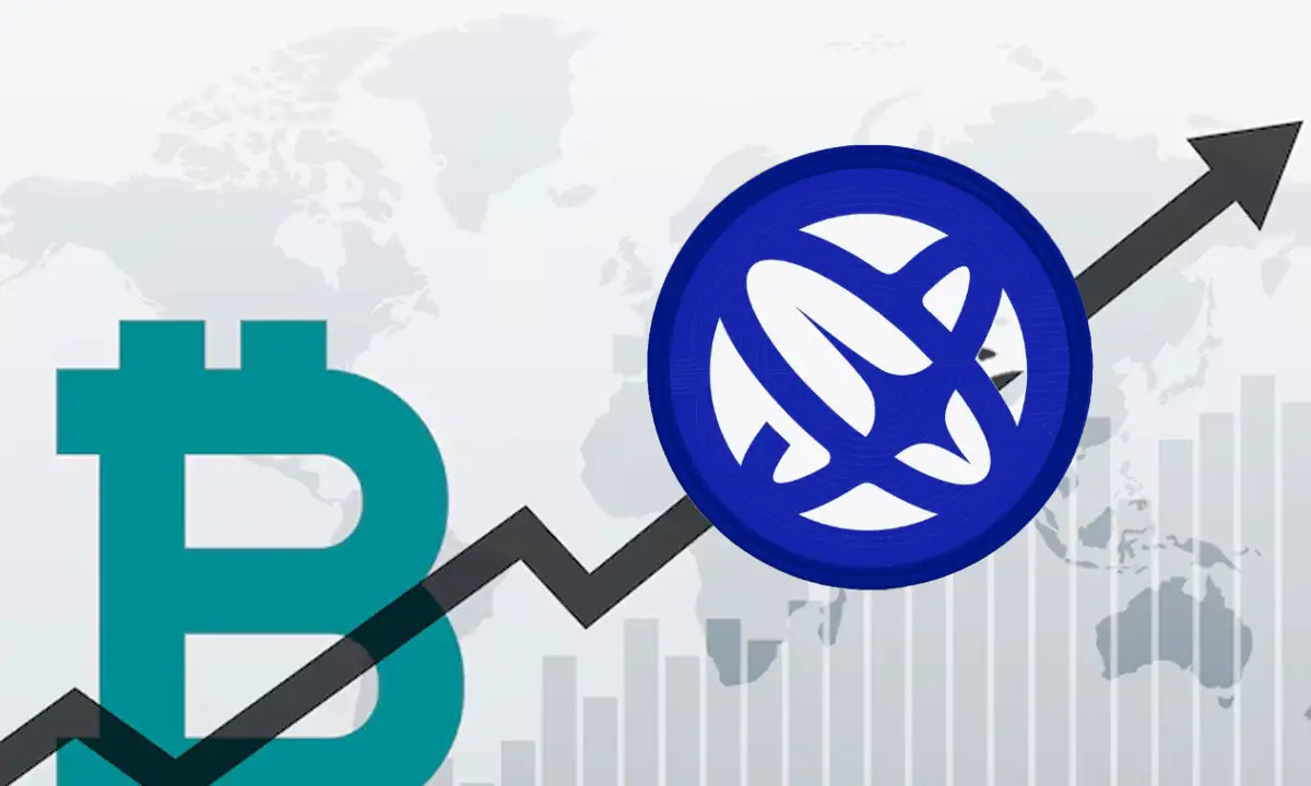 Top 5 Cryptos to Buy Now