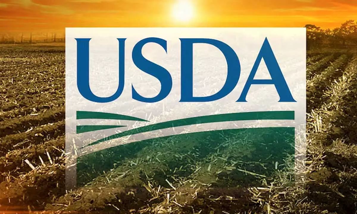 USDA Push for SNAP Data