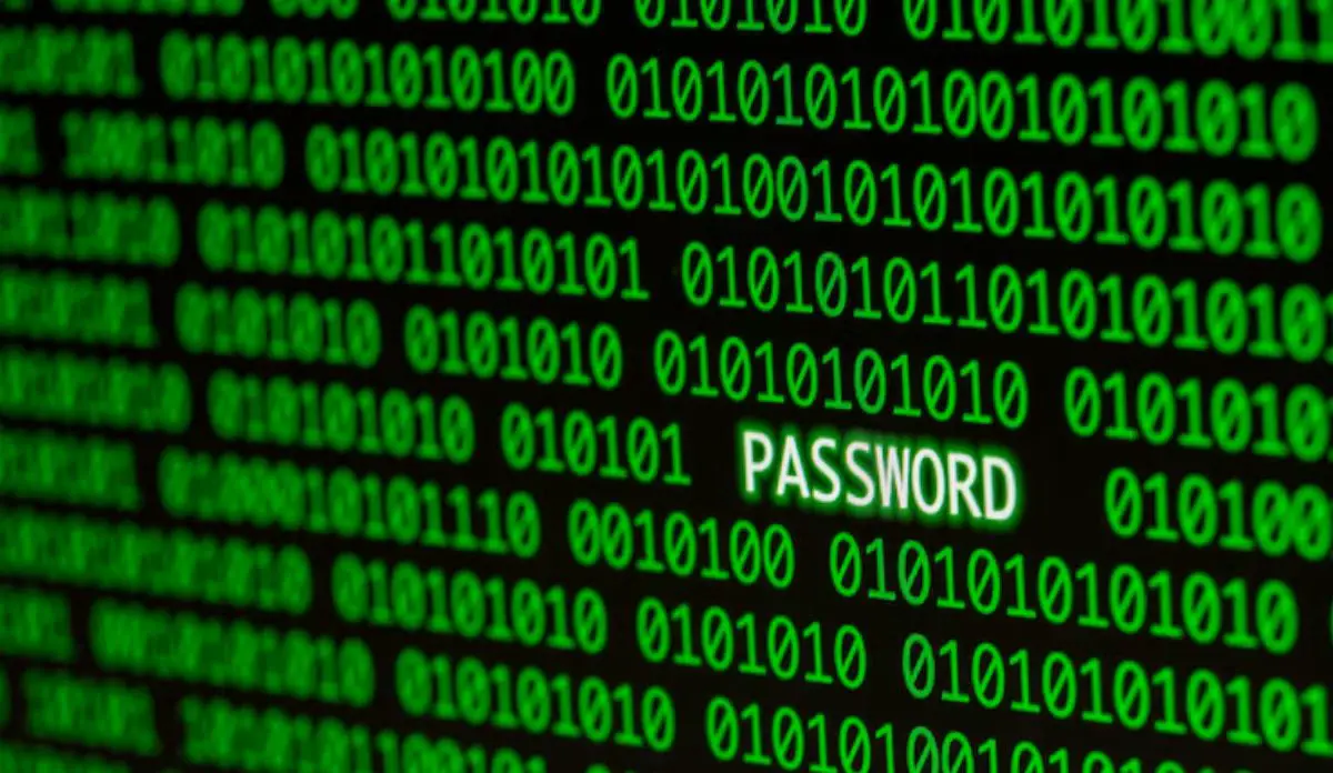 The Largest Password Leak in History
