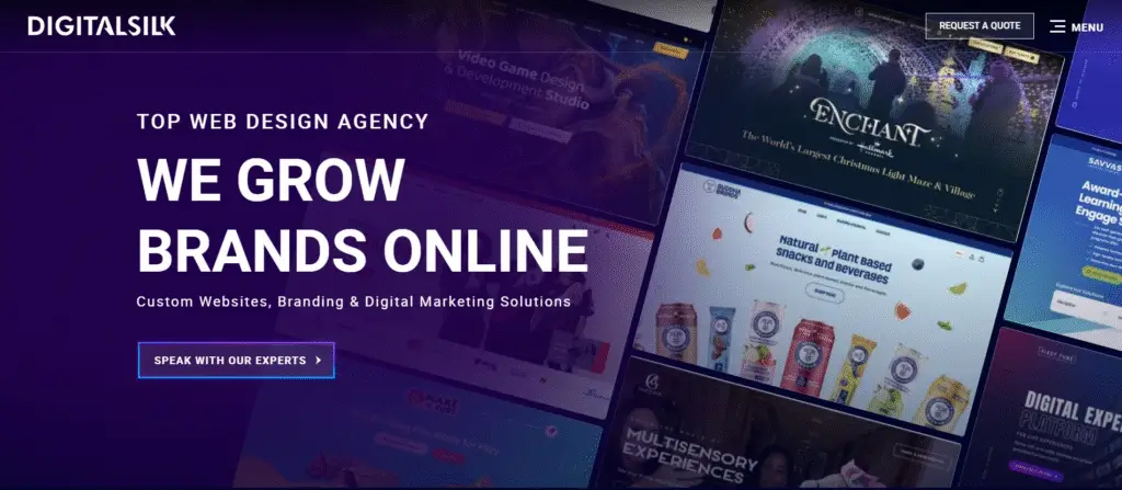 TOP SEO Agency in USA - Digital Silk