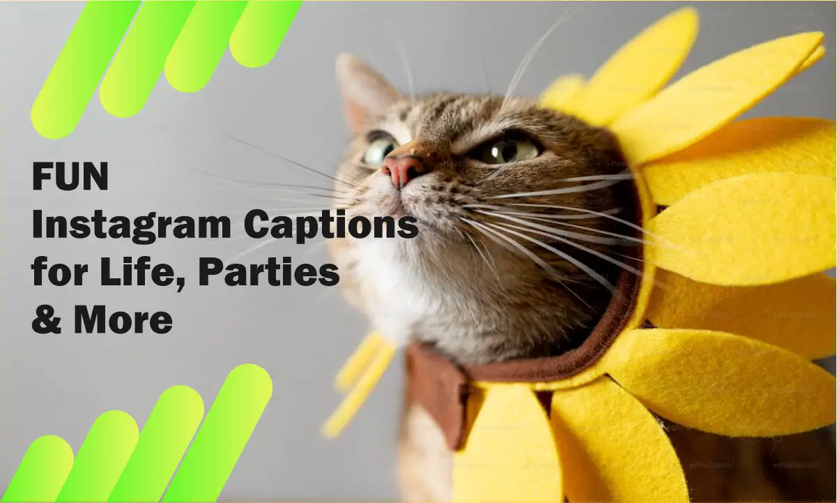 Fun Instagram Captions for Life, Parties & More