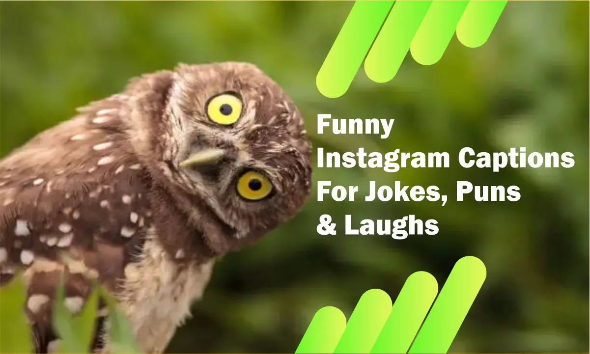 Funny Instagram Captions
