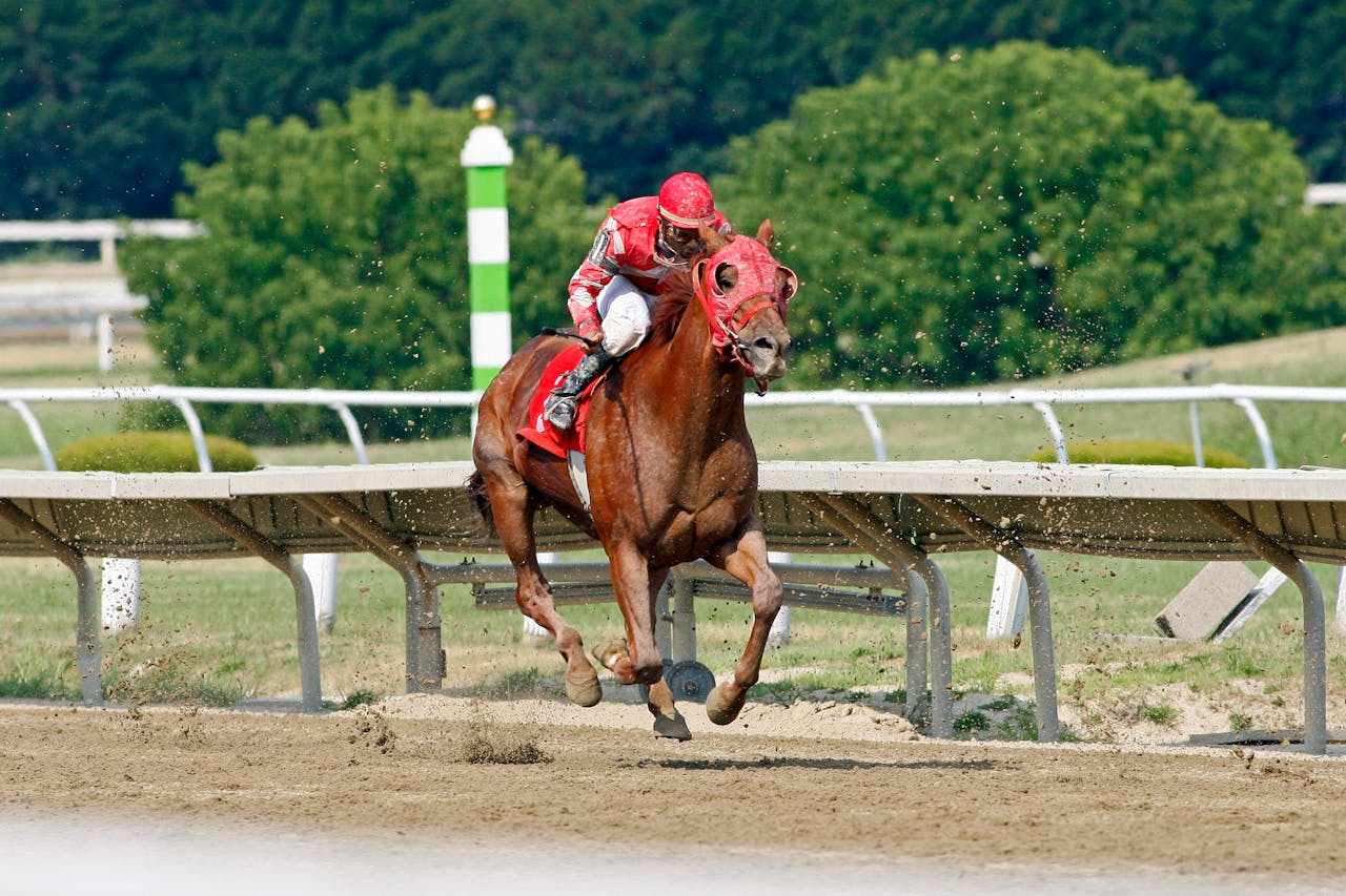 The Rise of Smart Stables
