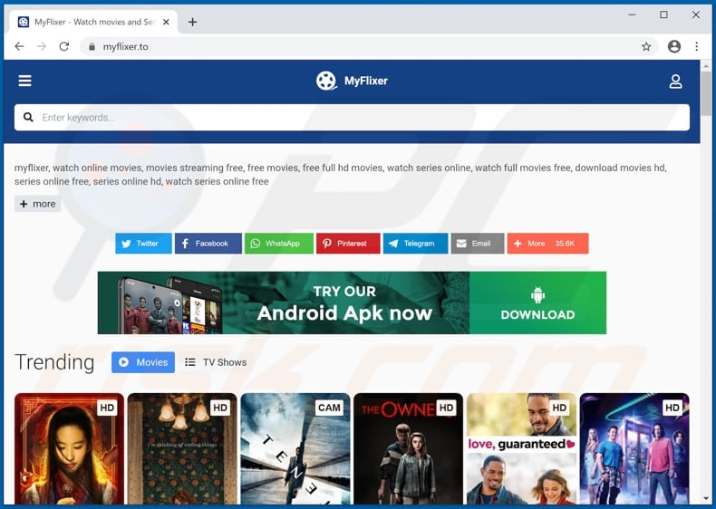 MyFlixer.to – A Fan-Favorite with an Extensive Library