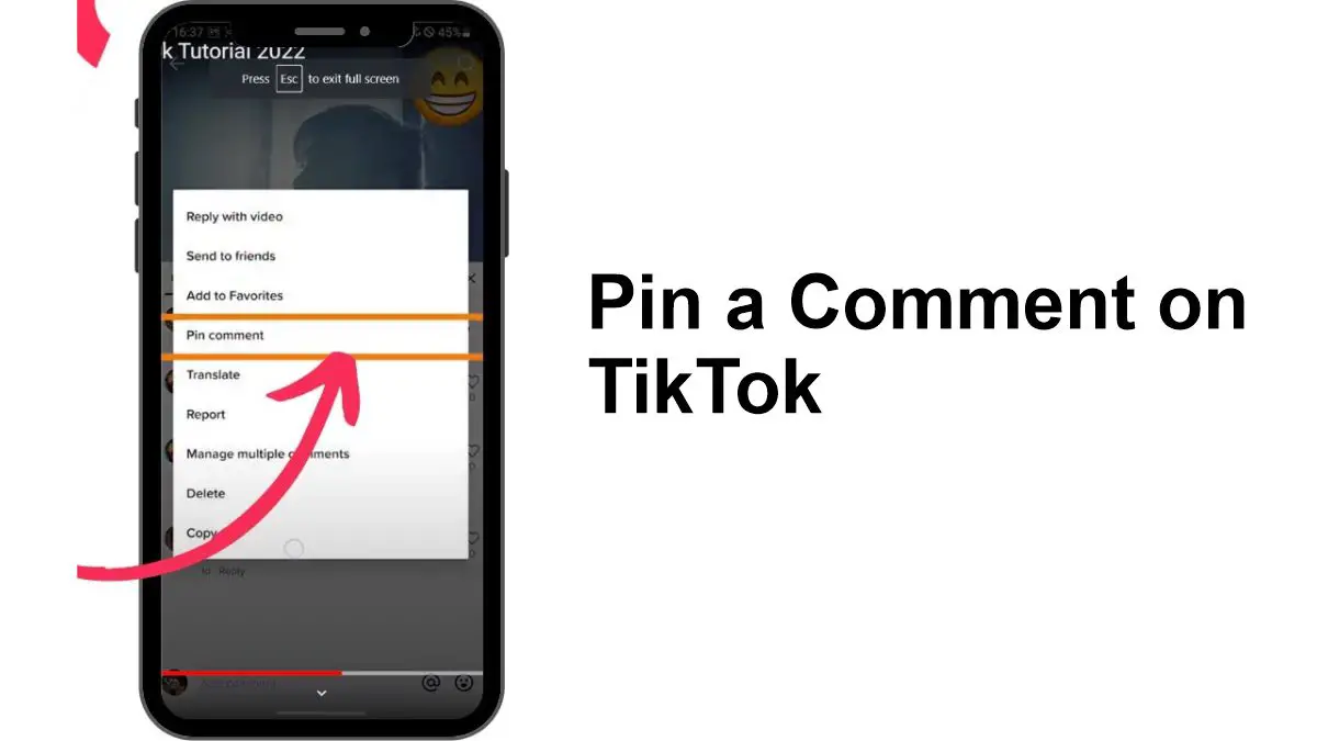 Pin a Comment on TikTok