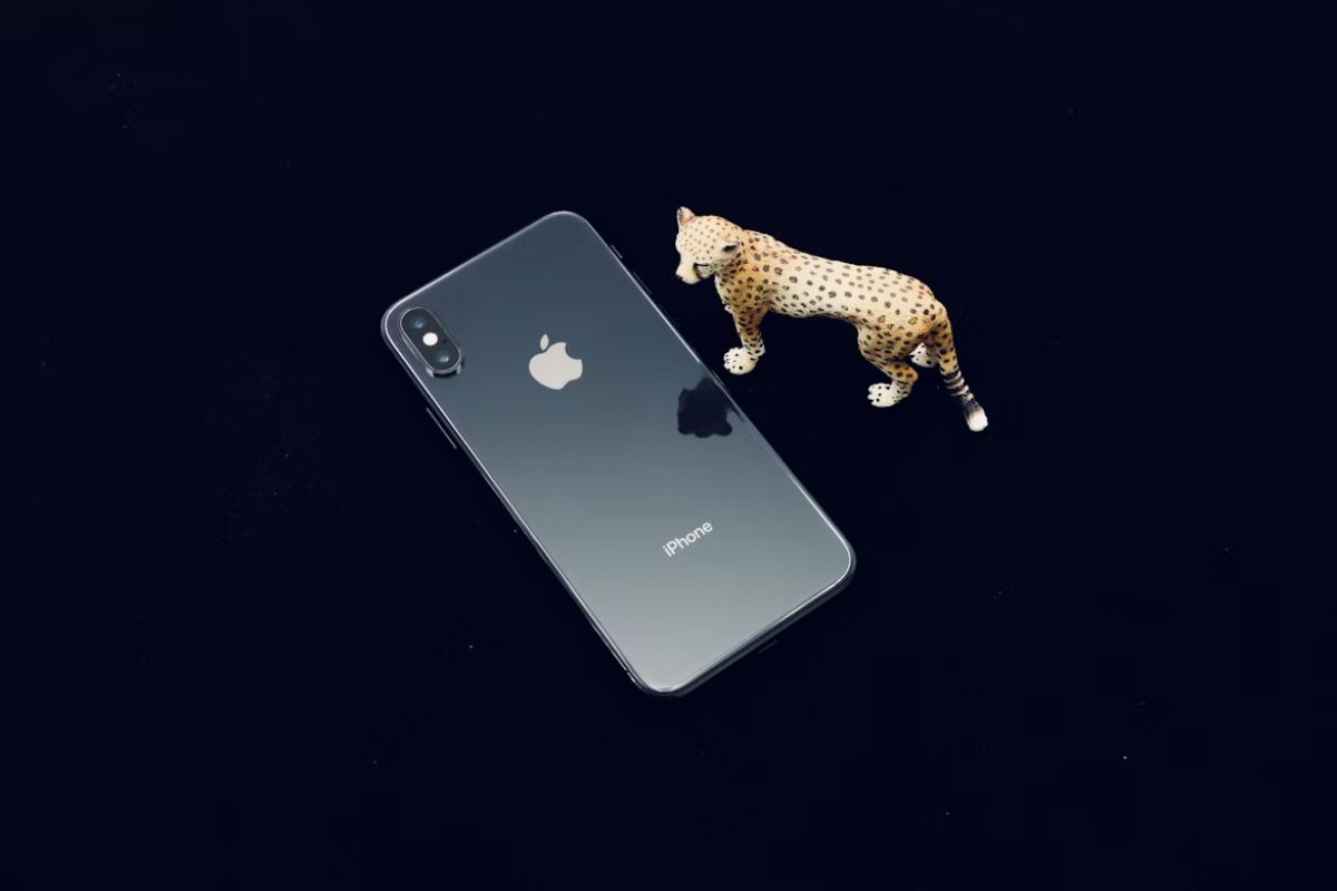 How to Find GIFs on an iPhone?