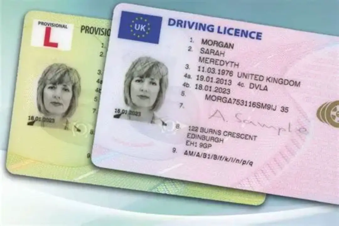 How many points it takes for license suspension in GA