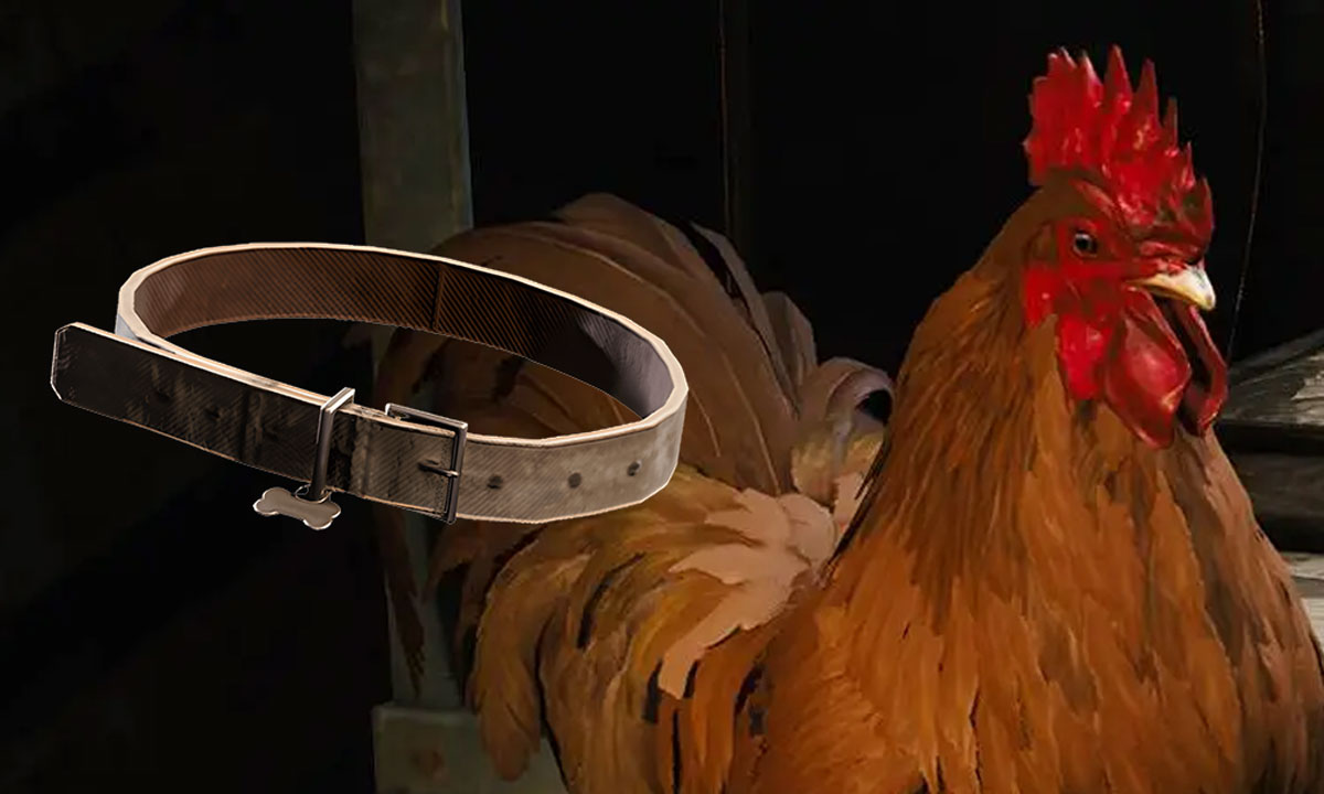 How to Get Dog Collars in Arc Raiders