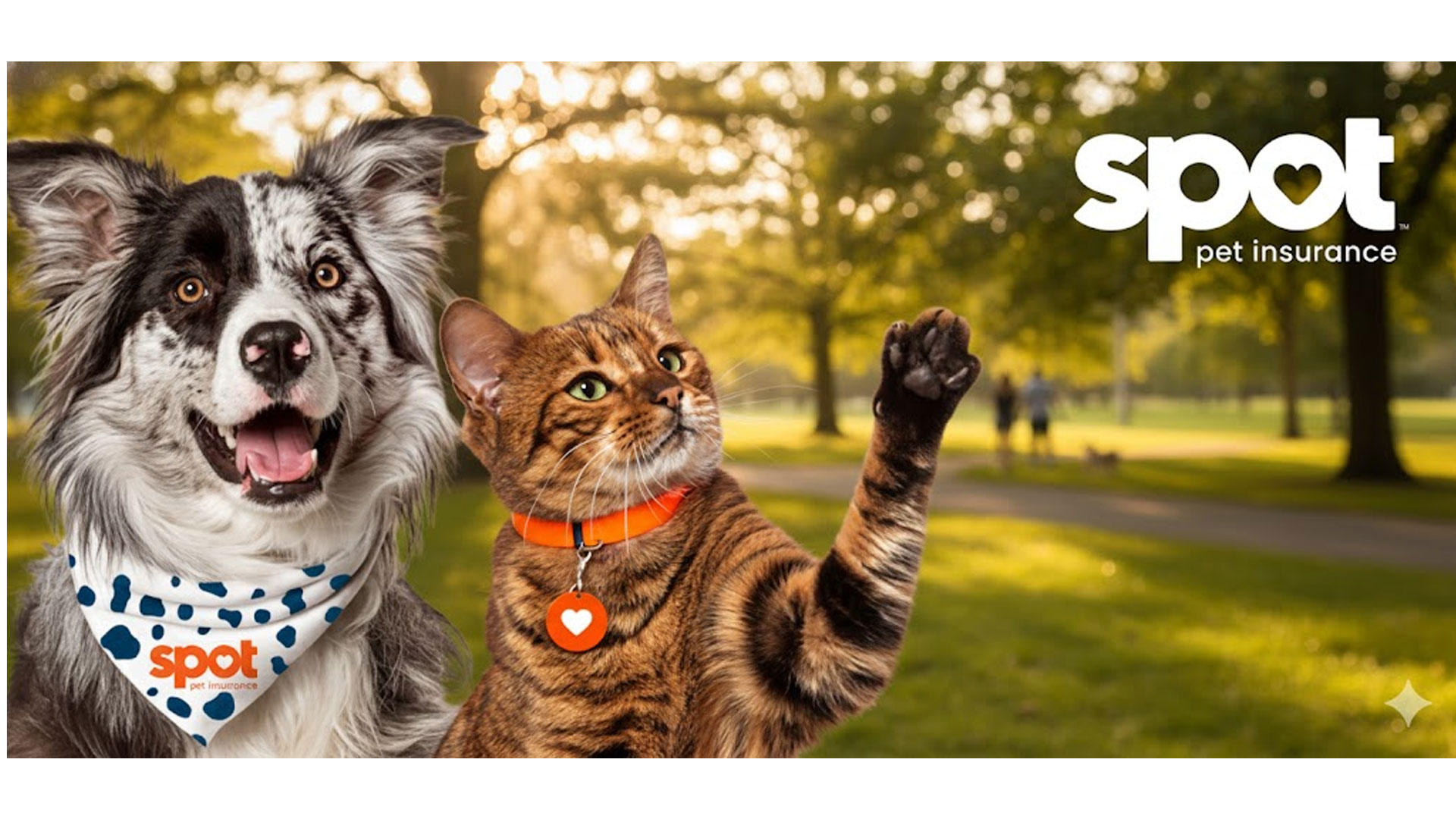 How to Cancel Spot Pet Insurance