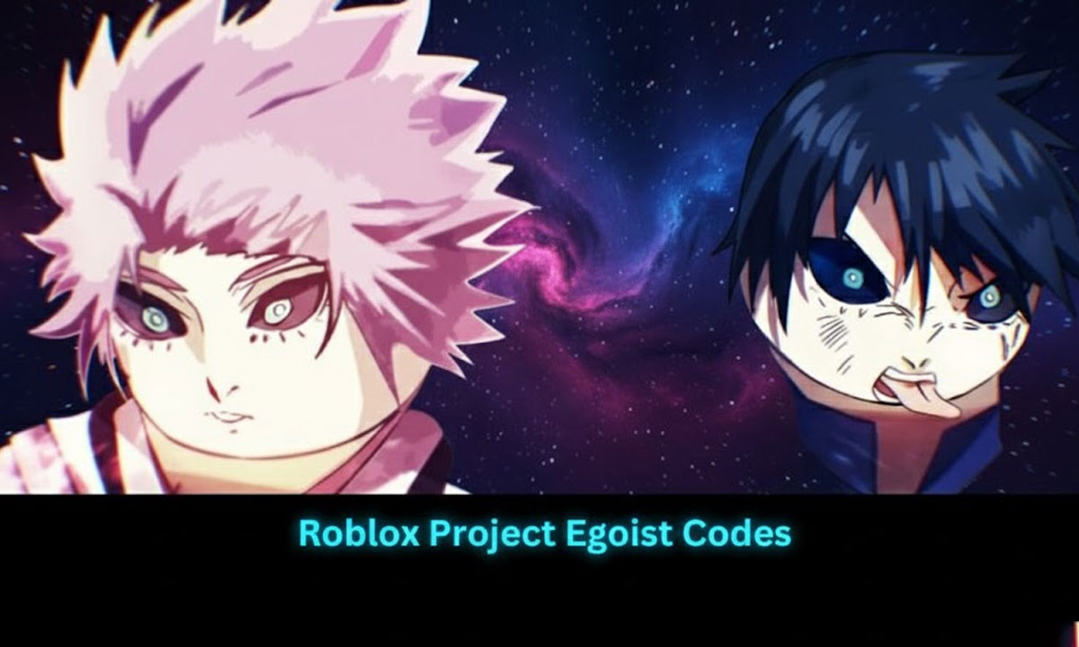 Project Egoist Codes