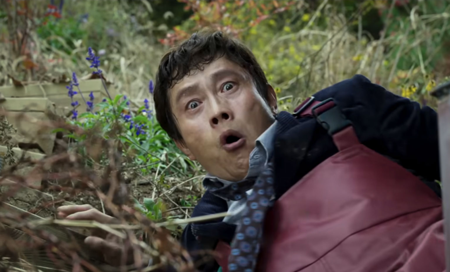 No Other Choice Where to Watch