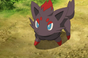 How to catch Zorua in Pokémon Go